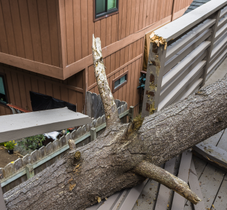 Emergency tree removal after Storm Damage